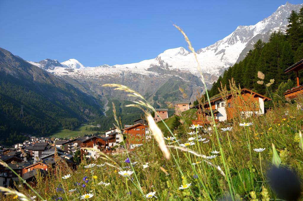 Appartement Waldrain 2 à Saas Fee Extérieur photo